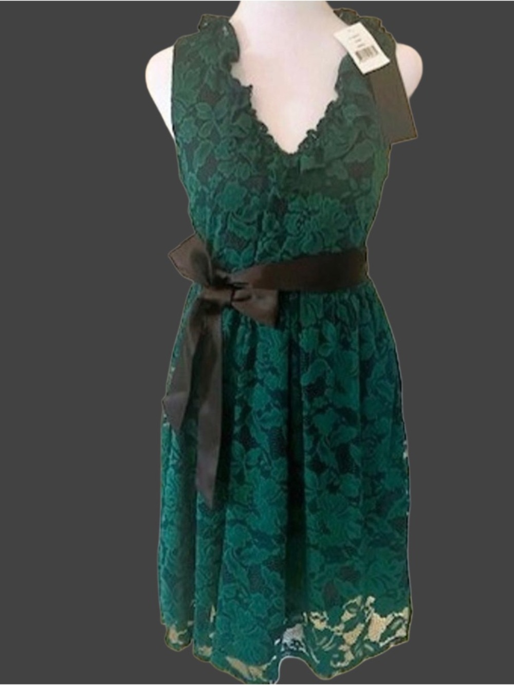 Gibson Green Lace Dress - Picture 4 of 4